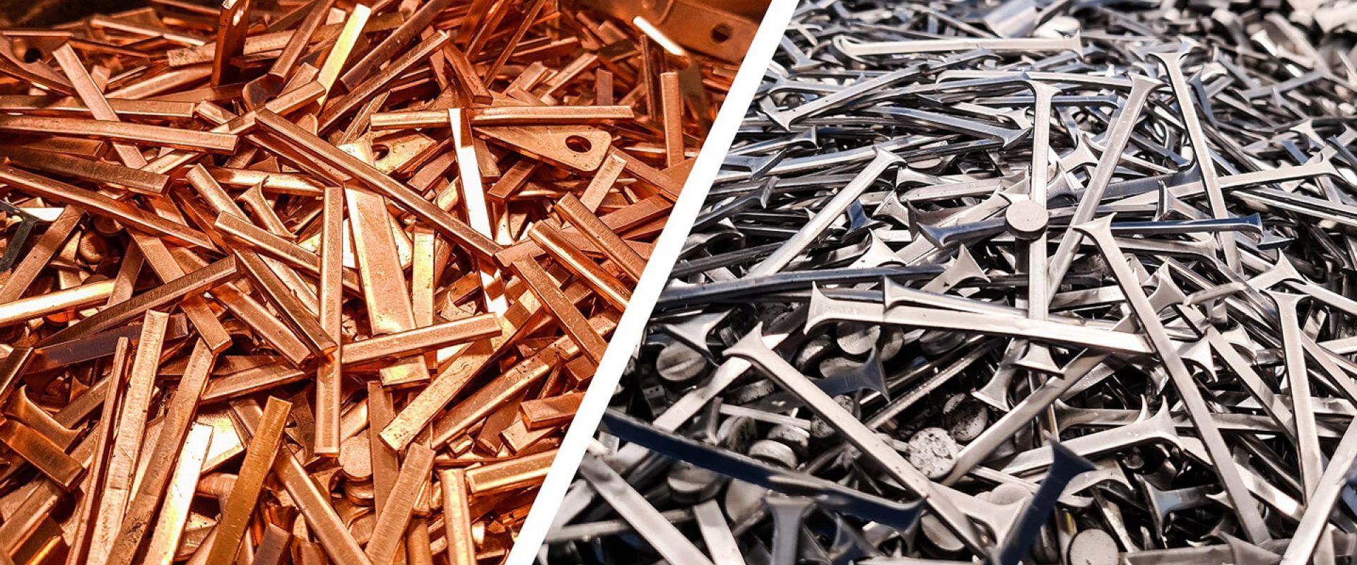 HERMI‘s Engagement für eine lebenswerte Zukunft 